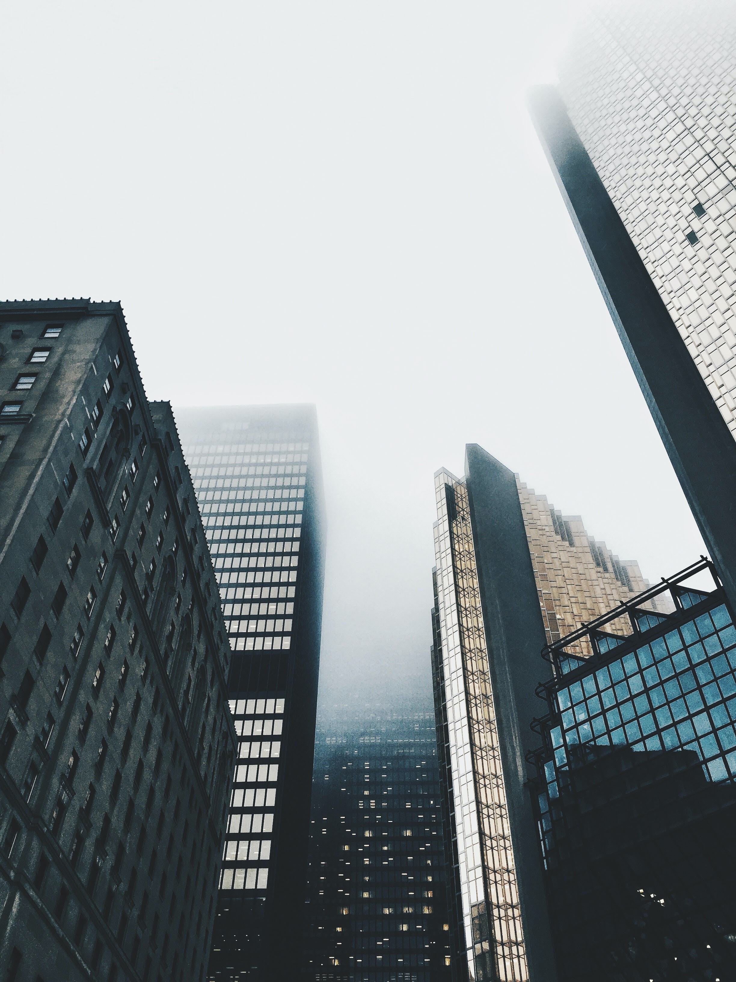 Toronto Buildings In Fog